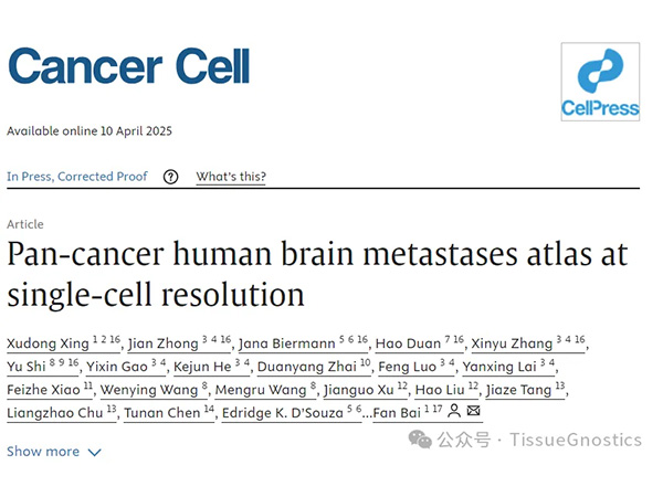 Cancer Cell|北京大學白凡教授團隊
